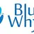 Blue Whyte logo